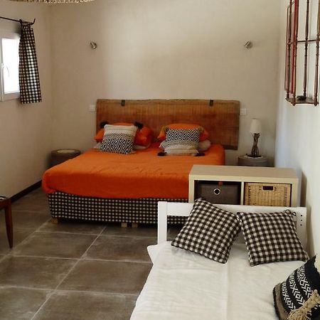 Bergerie D'Alivon En Camargue Bed & Breakfast Albaron Dış mekan fotoğraf