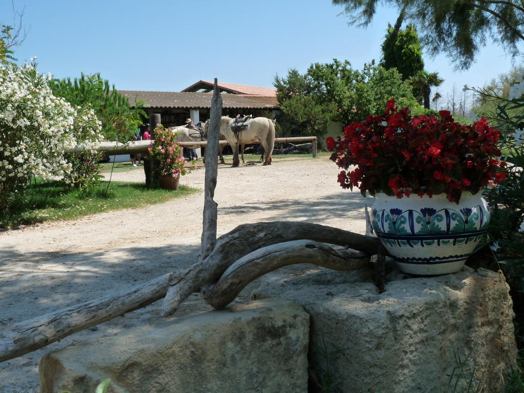 Bergerie D'Alivon En Camargue Bed & Breakfast Albaron Dış mekan fotoğraf